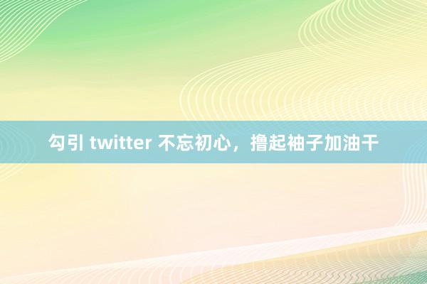 勾引 twitter 不忘初心，撸起袖子加油干