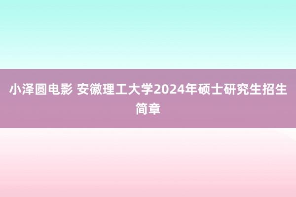 小泽圆电影 安徽理工大学2024年硕士研究生招生简章