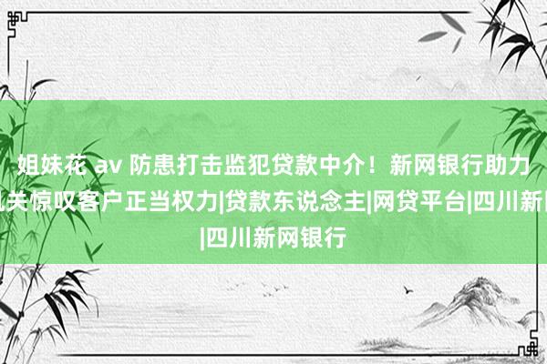 姐妹花 av 防患打击监犯贷款中介！新网银行助力公安机关惊叹客户正当权力|贷款东说念主|网贷平台|四川新网银行