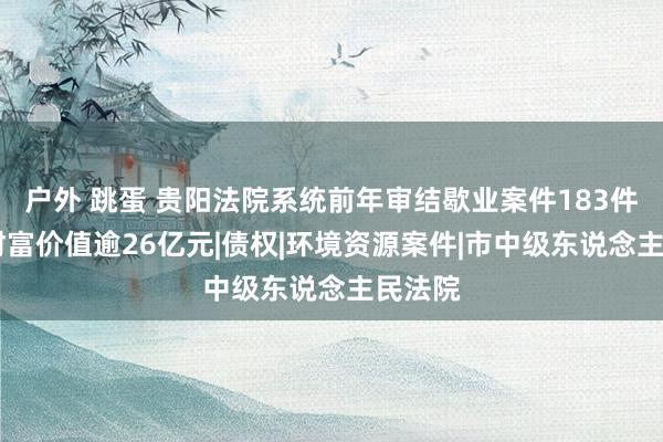 户外 跳蛋 贵阳法院系统前年审结歇业案件183件 周转财富价值逾26亿元|债权|环境资源案件|市中级东说念主民法院