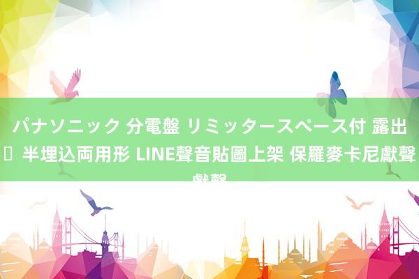 パナソニック 分電盤 リミッタースペース付 露出・半埋込両用形 LINE聲音貼圖上架 保羅麥卡尼獻聲