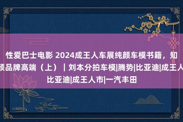 性爱巴士电影 2024成王人车展纯颜车模书籍，知性好意思引颈品牌高端（上）｜刘本分拍车模|腾势|比亚迪|成王人市|一汽丰田