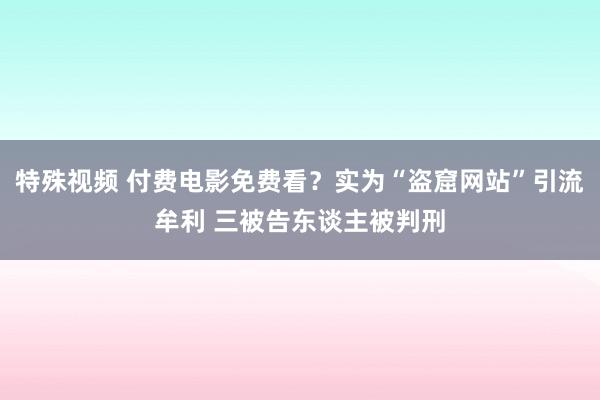 特殊视频 付费电影免费看？实为“盗窟网站”引流牟利 三被告东谈主被判刑