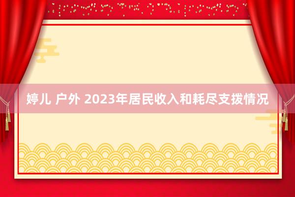 婷儿 户外 2023年居民收入和耗尽支拨情况