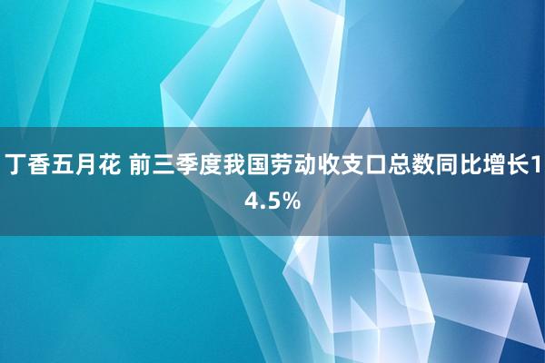 丁香五月花 前三季度我国劳动收支口总数同比增长14.5%